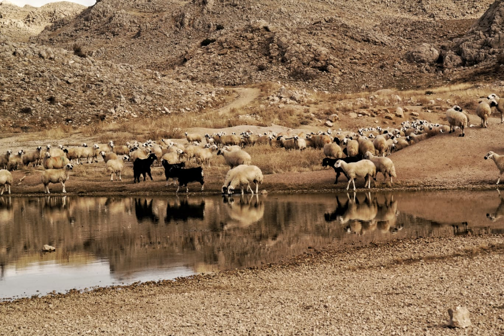 Malatya Sonbahar Resimleri